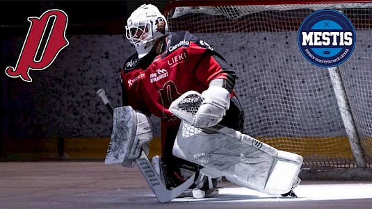 Jääkiekko: Pyry Hockey – Molentum Sport -referenssi